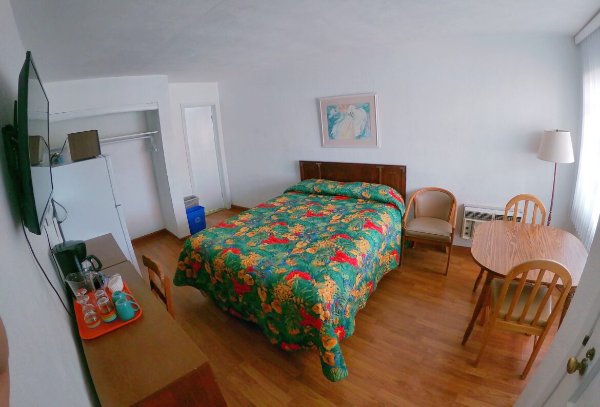 Single Queen Room